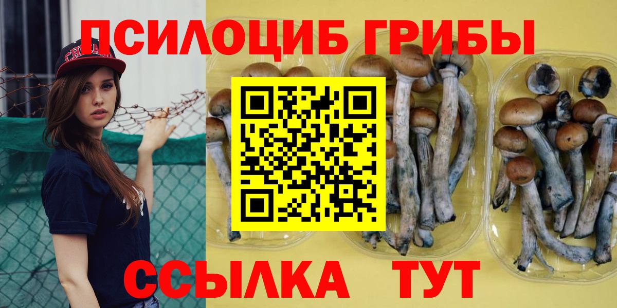 Псилоцибиновые грибы GOLDEN TEACHER Светлоград