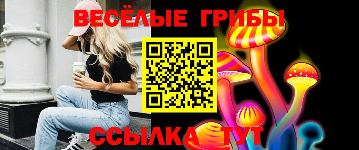 Галлюциногенные грибы прущие грибы  Псилоцибиновые грибы прущие грибы  Светлоград  Вход с VPN 