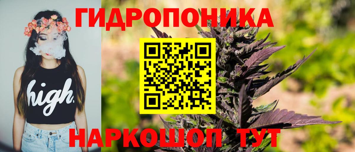 МАРИХУАНА конопля Светлоград